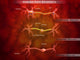 Anatomy Structure of Neurons Fine Art Print - Multiple Sizes Available