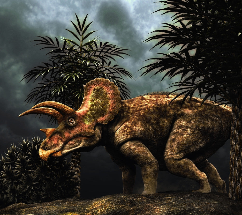 Triceratops Cretaceous Period Fine Art Print