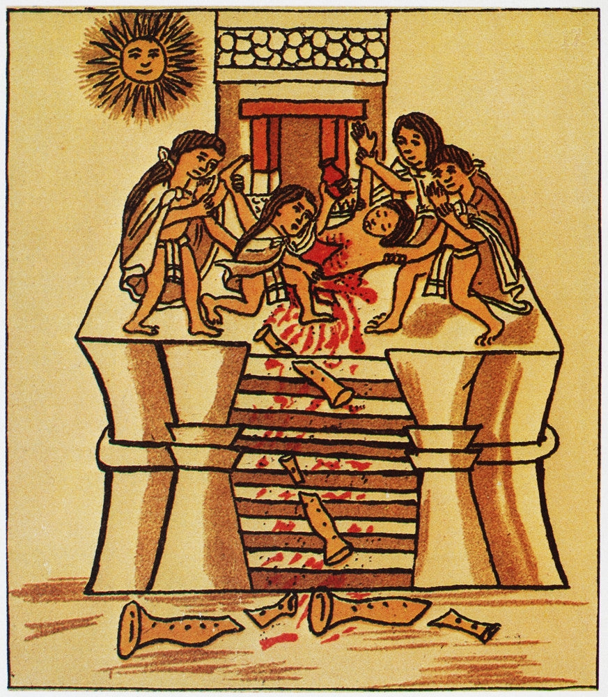 Aztec Sacrifice Fine Art Print - 16th Century Codex by Granger Collection