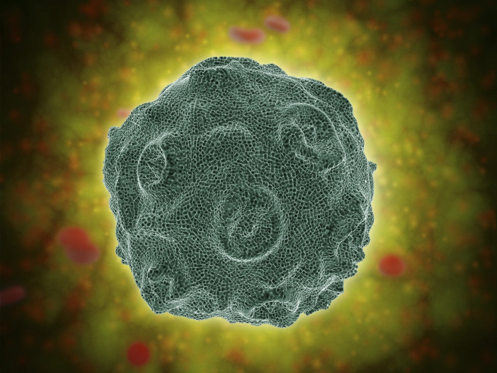 Human Papilloma Virus Conceptual Fine Art Print - Sizes Available