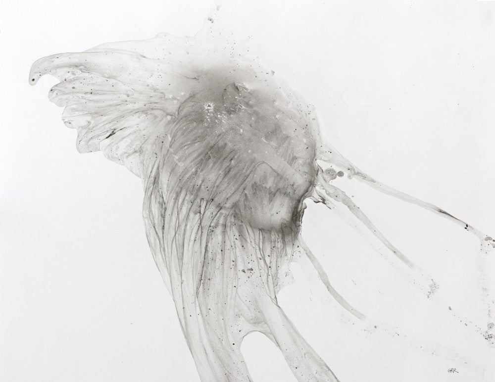 Jellyfish Fine Art Print by Glen Ronald | Posterazzi