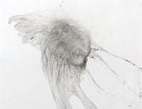 Jellyfish Fine Art Print by Glen Ronald | Posterazzi