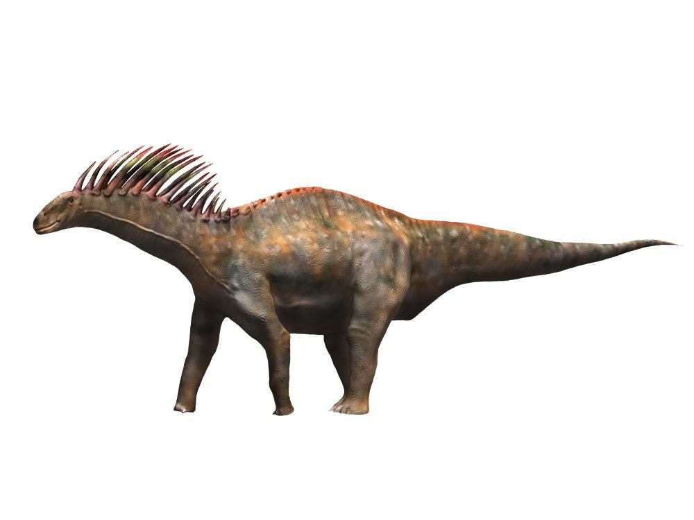 Amargasaurus Dinosaur Fine Art Print - Early Cretaceous Period