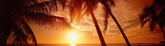 Fort Myers Florida Sunset Photo Print by Panoramic Images (43x12)
