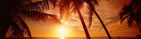 Fort Myers Florida Sunset Photo Print by Panoramic Images (43x12)
