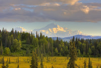 Scenic View of Mount McKinley Fine Art Print from Denali National Park