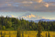 Scenic View of Mount McKinley Fine Art Print from Denali National Park