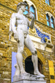 Michelangelo's David Replica Statue Poster Print by William Perry