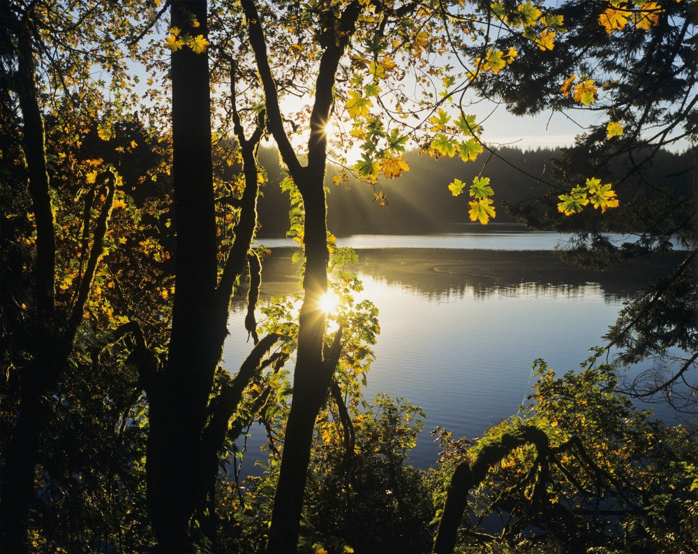 Sunrise Reflected in Eel Lake Fine Art Print by Robert L. Potts