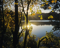 Sunrise Reflected in Eel Lake Fine Art Print by Robert L. Potts