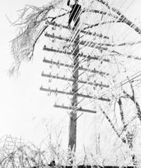 Lineman Clearing Ice-Laden Tree Branches Fine Art Print