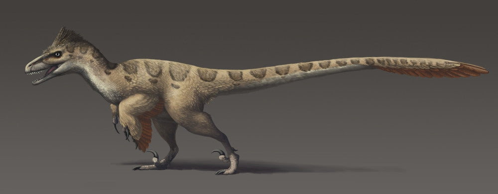Utahraptor ostrommaysorum Fine Art Print - The Largest Dromaeosaur
