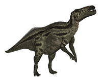 Shantungosaurus Dinosaur Fine Art Print on White Background