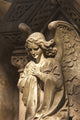 Buenos Aires Angel Statue Fine Art Print by Stuart Westmorland