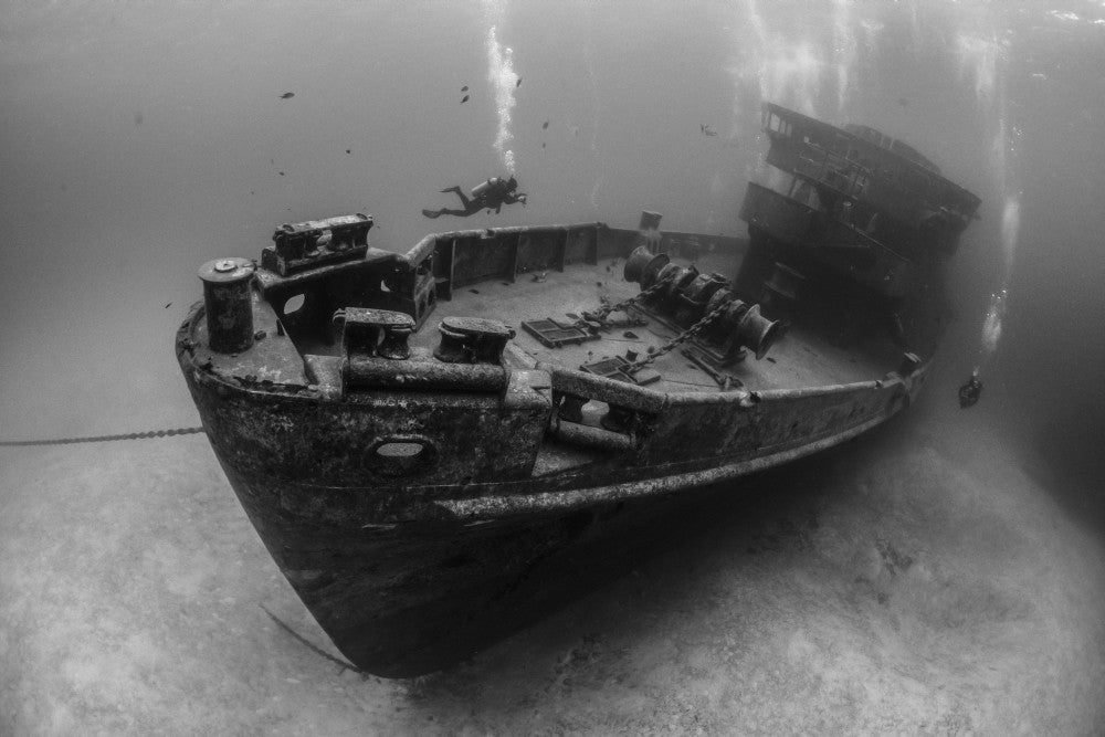 Kittiwake Wreck Dive Poster Print by Brook Peterson