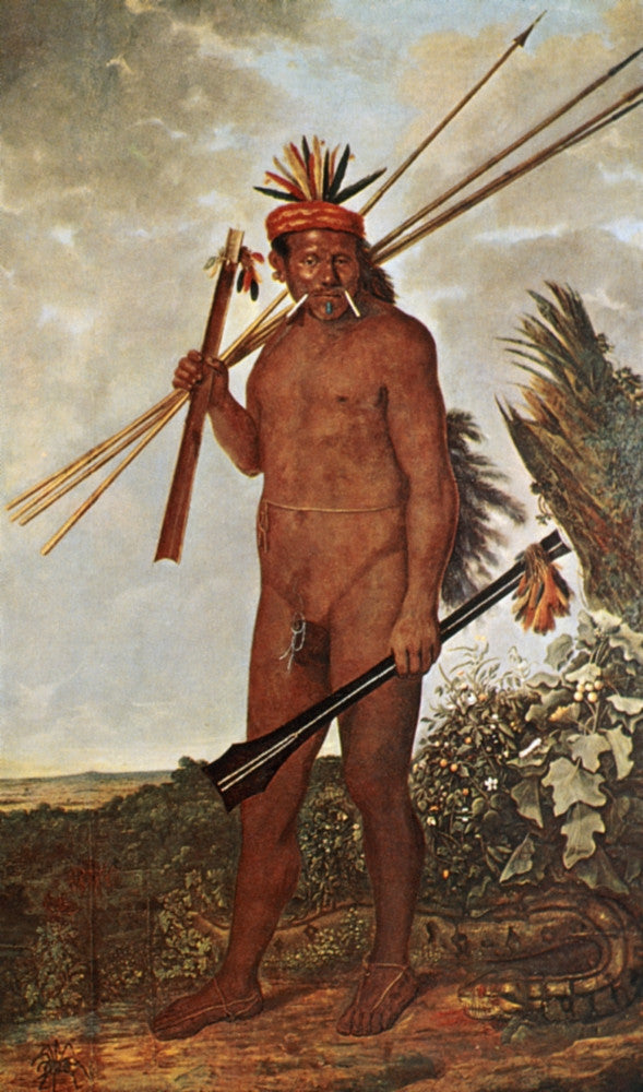 Brazil: Tupinamba Man Fine Art Print by Albert Eckhout