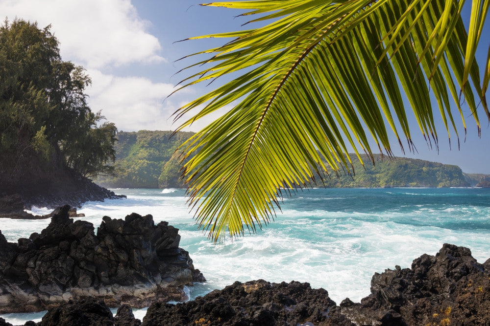 Maui's East Side Cliffs Fine Art Print by Jenna Szerlag