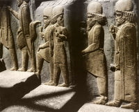 Tribute Bearers Fine Art Print - Persepolis, Iran by Science Source