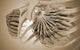 Conceptual Female Breast Anatomy Fine Art Print