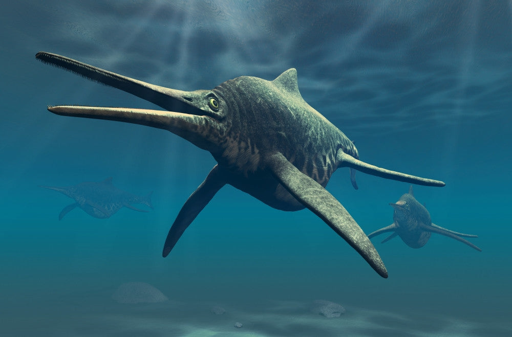 Shonisaurus Ichthyosaur Fine Art Print - Triassic Era