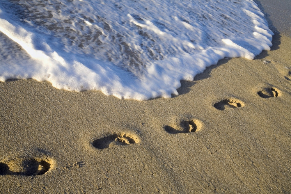 Footprints In The Sand Fine Art Print by David Chapman