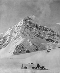 Denali National Park Fine Art Print - Mount McKinley C1920