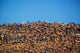 Stack of Firewood Pile Against Blue Sky Fine Art Print