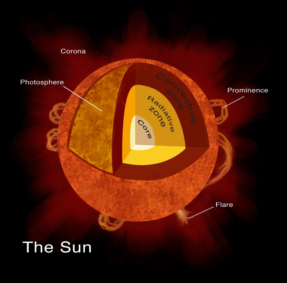 Structure of the Sun Illustration Print by Spencer Sutton | Science Source