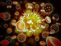 Cancer Cell with Red Blood Cell Flow Fine Art Print