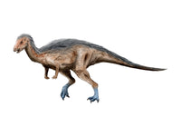 Dryosaurus Dinosaur Fine Art Print on White Background