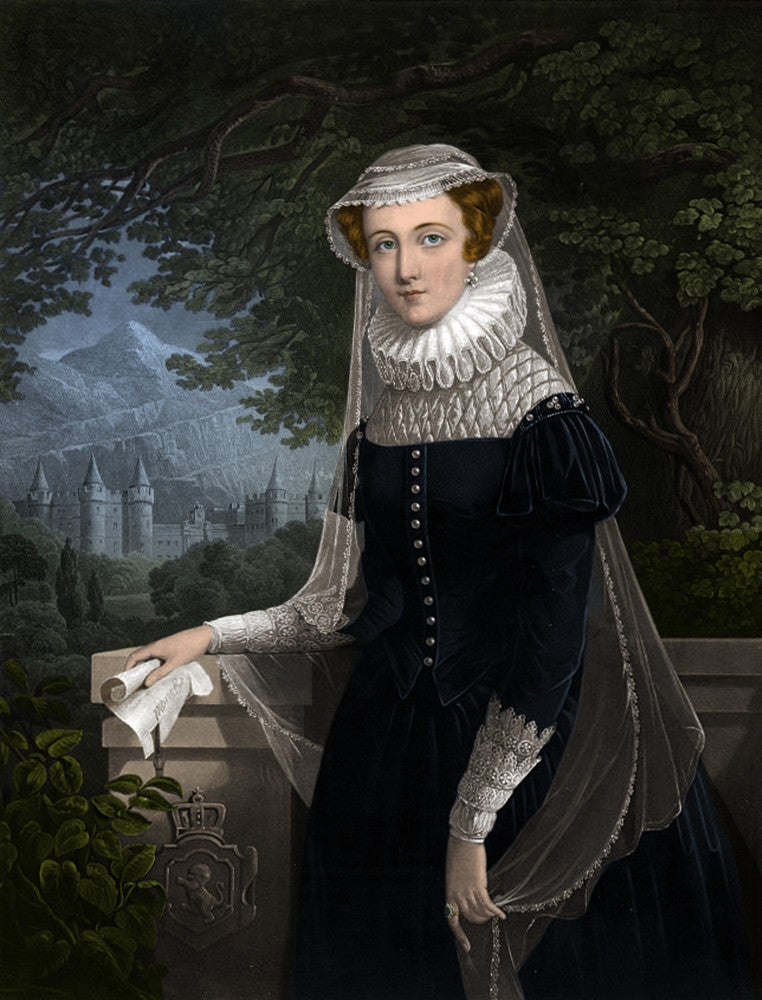 Mary, Queen of Scots Fine Art Print by Science Source