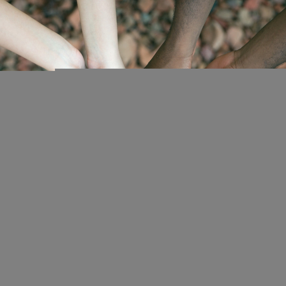 Interracial Hands Holding A Bible Fine Art Print by Design Pics