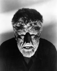 Wolfman 1941 Movie Poster Print Featuring Lon Chaney Jr.