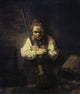 A Girl With a Broom Fine Art Print by Carel Fabritius