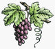 Botany: Grapes Woodcut Fine Art Print by Granger Collection