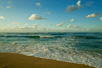 Israel Haifa Beaches and Mediterranean Sea Fine Art Print by Michele Molinari