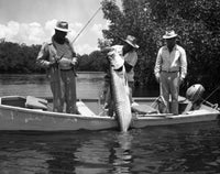 Three Men Tarpon Fishing in Florida Fine Art Print