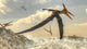 Pteranodon Bird Flying Above Ocean Fine Art Print