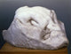 Danae Fine Art Print by Auguste Rodin | Musee Rodin Paris