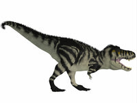 Tyrannosaurus Rex Fine Art Print - Cretaceous Period Poster