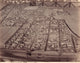 Model of Pompeii Ruins - Vintage 1890 Fine Art Print by Granger Collection