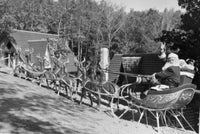 Santa Claus Riding Sleigh Pulled by Reindeer Fine Art Print