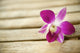 Hawaii, Kauai, Kilauea, Pink Orchid Fine Art Print by Kicka Witte