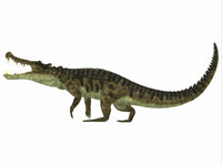 Kaprosuchus Extinct Crocodile Fine Art Print | Posterazzi