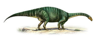 Plateosaurus Engelhardti Fine Art Print - Late Triassic Dinosaur