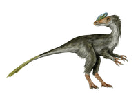 Guanlong Dinosaur Fine Art Print on White Background