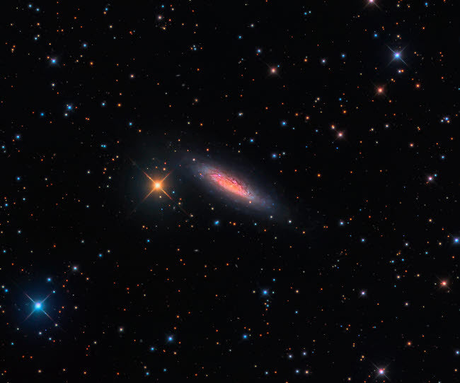 NGC 6503 Spiral Galaxy Fine Art Print by Michael Miller