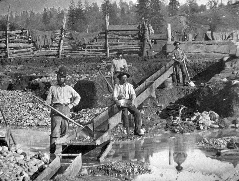 California Gold Rush, 1850 Fine Art Print by Science Source