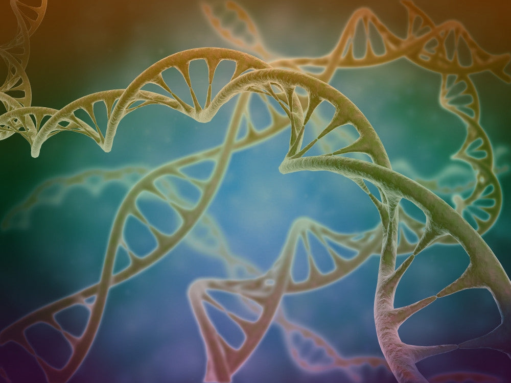 Cluster of DNA Strands Fine Art Print - Scientific Wall Décor