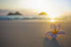 Pink Plumeria Flower at Lanikai Beach Art Print by Brandon Tabiolo